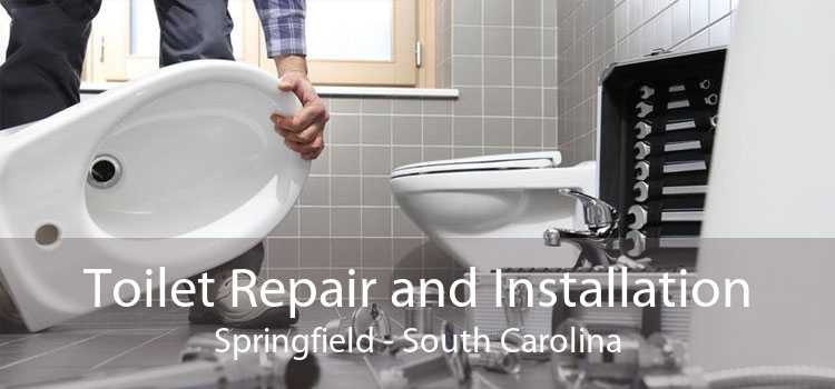 Toilet Repair and Installation Springfield - South Carolina