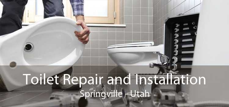 Toilet Repair and Installation Springville - Utah