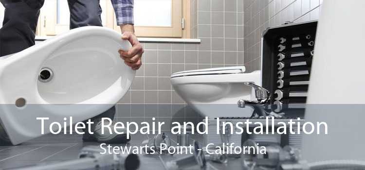Toilet Repair and Installation Stewarts Point - California