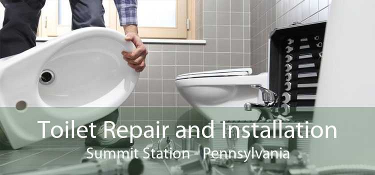 Toilet Repair and Installation Summit Station - Pennsylvania