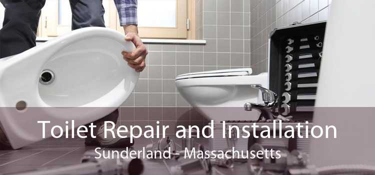 Toilet Repair and Installation Sunderland - Massachusetts