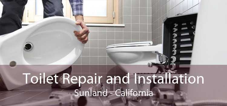 Toilet Repair and Installation Sunland - California