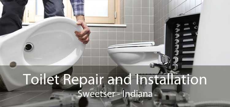 Toilet Repair and Installation Sweetser - Indiana