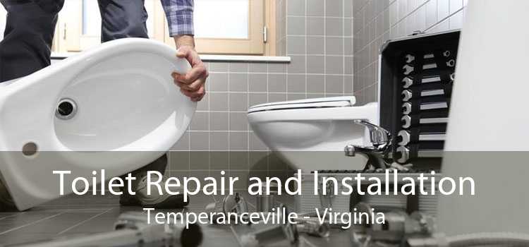 Toilet Repair and Installation Temperanceville - Virginia
