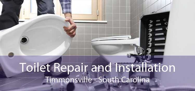 Toilet Repair and Installation Timmonsville - South Carolina