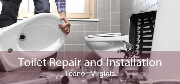 Toilet Repair and Installation Toano - Virginia