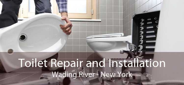 Toilet Repair and Installation Wading River - New York