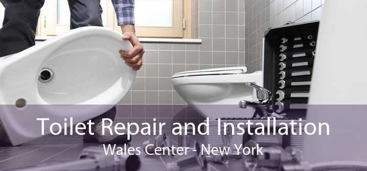 Toilet Repair and Installation Wales Center - New York
