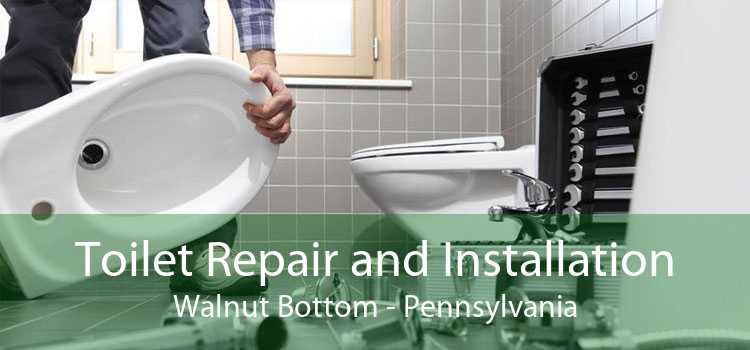 Toilet Repair and Installation Walnut Bottom - Pennsylvania