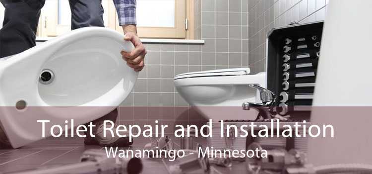 Toilet Repair and Installation Wanamingo - Minnesota