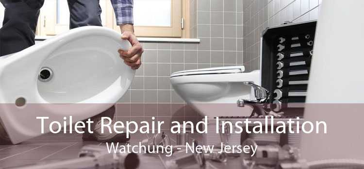 Toilet Repair and Installation Watchung - New Jersey