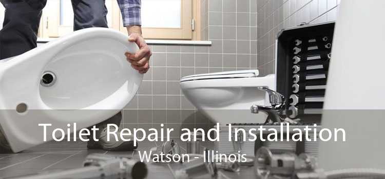 Toilet Repair and Installation Watson - Illinois