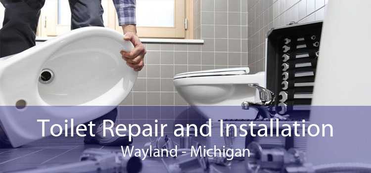 Toilet Repair and Installation Wayland - Michigan
