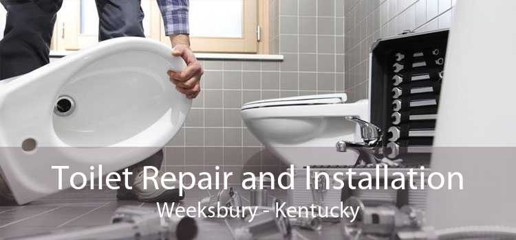 Toilet Repair and Installation Weeksbury - Kentucky