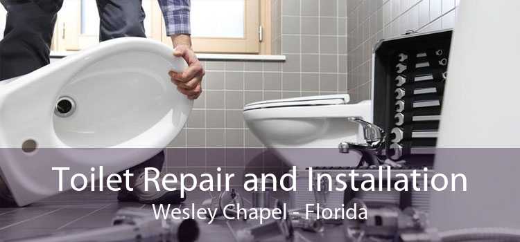 Toilet Repair and Installation Wesley Chapel - Florida