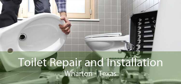 Toilet Repair and Installation Wharton - Texas
