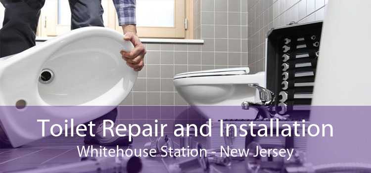 Toilet Repair and Installation Whitehouse Station - New Jersey