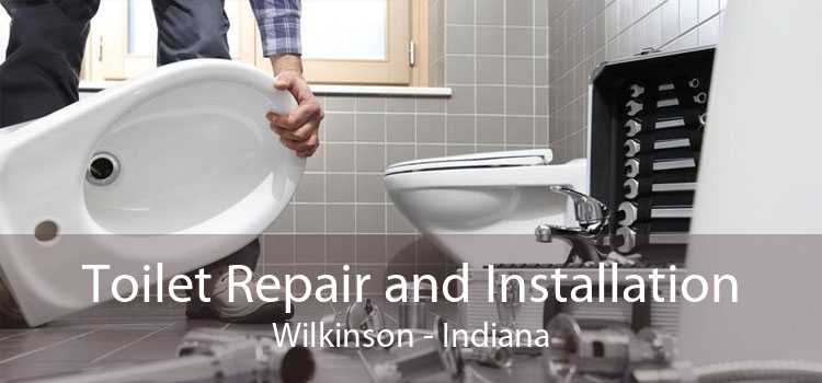 Toilet Repair and Installation Wilkinson - Indiana