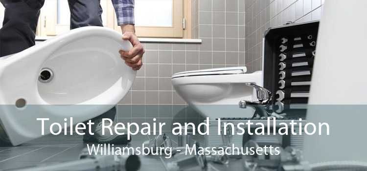 Toilet Repair and Installation Williamsburg - Massachusetts