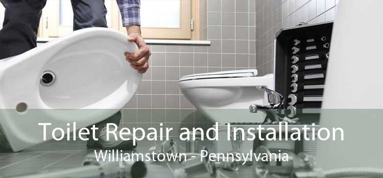 Toilet Repair and Installation Williamstown - Pennsylvania