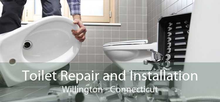 Toilet Repair and Installation Willington - Connecticut