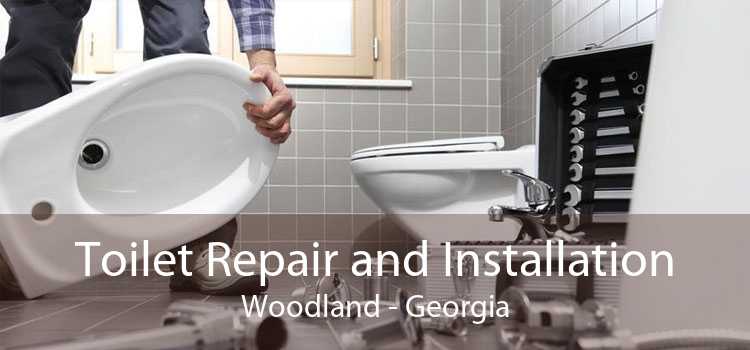 Toilet Repair and Installation Woodland - Georgia