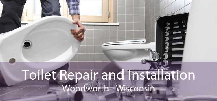 Toilet Repair and Installation Woodworth - Wisconsin