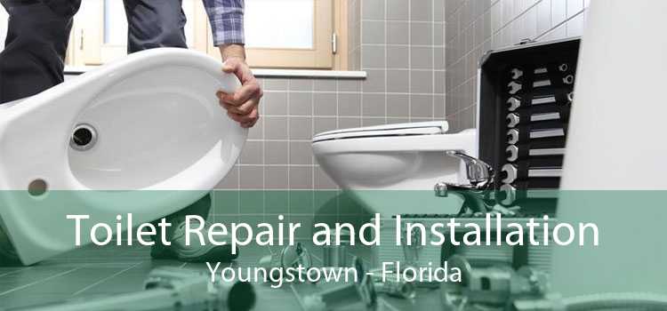 Toilet Repair and Installation Youngstown - Florida
