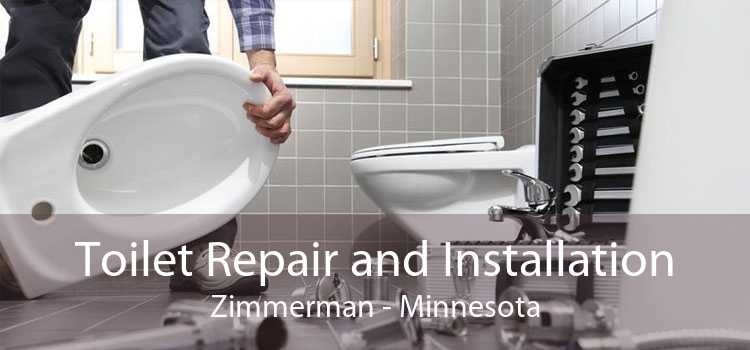 Toilet Repair and Installation Zimmerman - Minnesota
