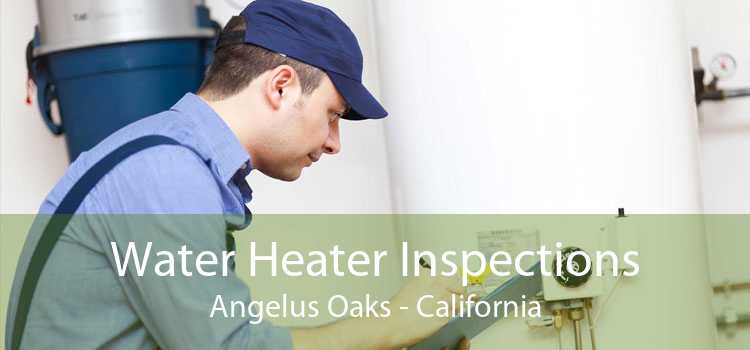 Water Heater Inspections Angelus Oaks - California