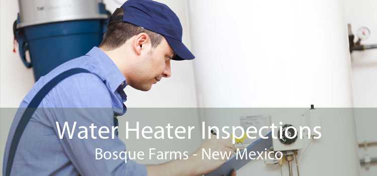 Water Heater Inspections Bosque Farms - New Mexico