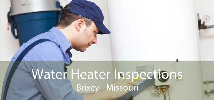 Water Heater Inspections Brixey - Missouri