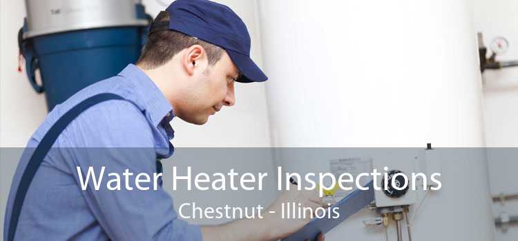 Water Heater Inspections Chestnut - Illinois