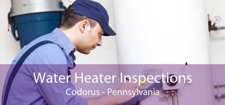 Water Heater Inspections Codorus - Pennsylvania