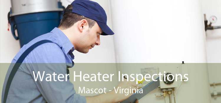 Water Heater Inspections Mascot - Virginia