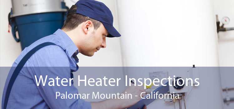 Water Heater Inspections Palomar Mountain - California