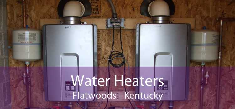 Water Heaters Flatwoods - Kentucky