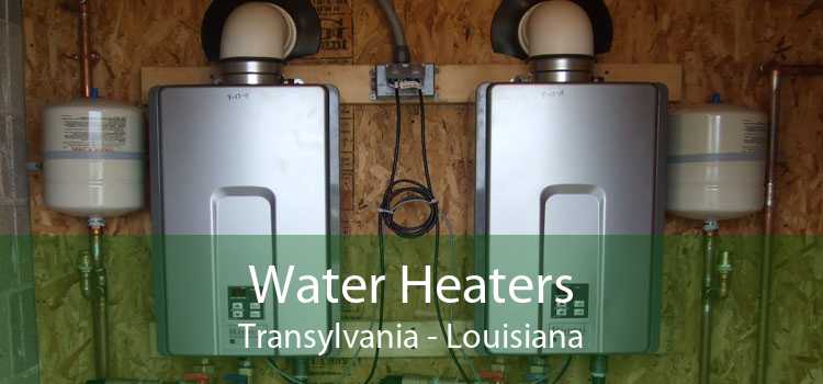 Water Heaters Transylvania - Louisiana