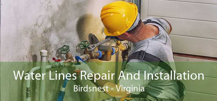 Water Lines Repair And Installation Birdsnest - Virginia