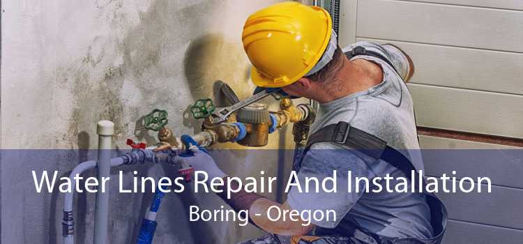 Water Lines Repair And Installation Boring - Oregon
