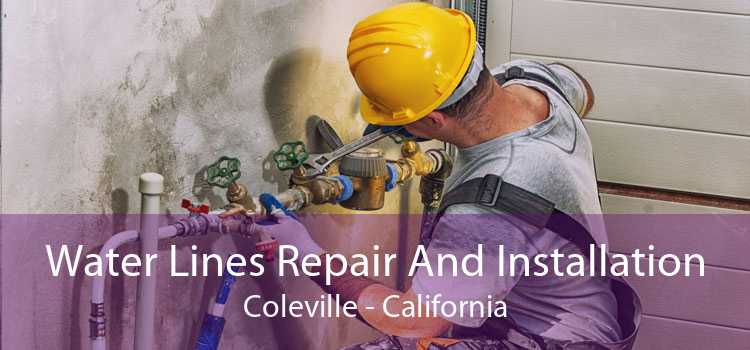 Water Lines Repair And Installation Coleville - California