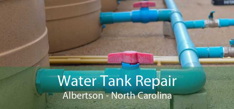 Water Tank Repair Albertson - North Carolina