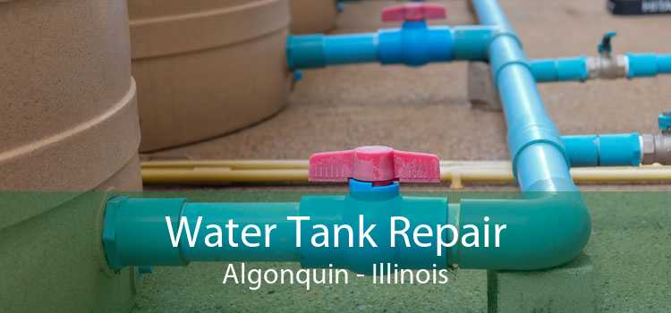 Water Tank Repair Algonquin - Illinois