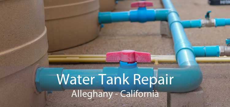 Water Tank Repair Alleghany - California