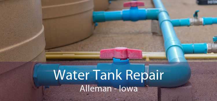 Water Tank Repair Alleman - Iowa