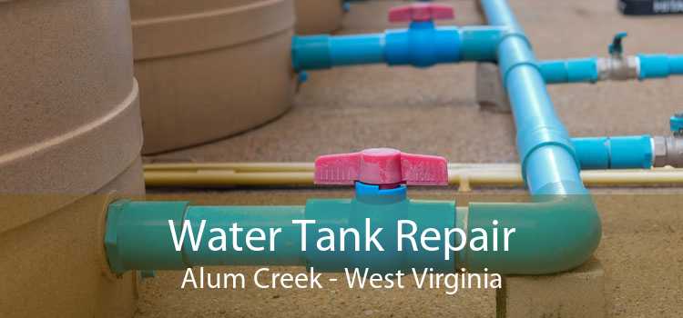 Water Tank Repair Alum Creek - West Virginia