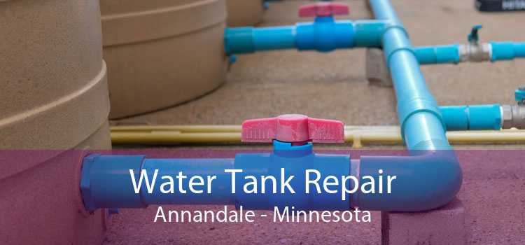 Water Tank Repair Annandale - Minnesota