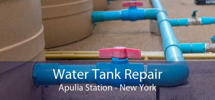 Water Tank Repair Apulia Station - New York