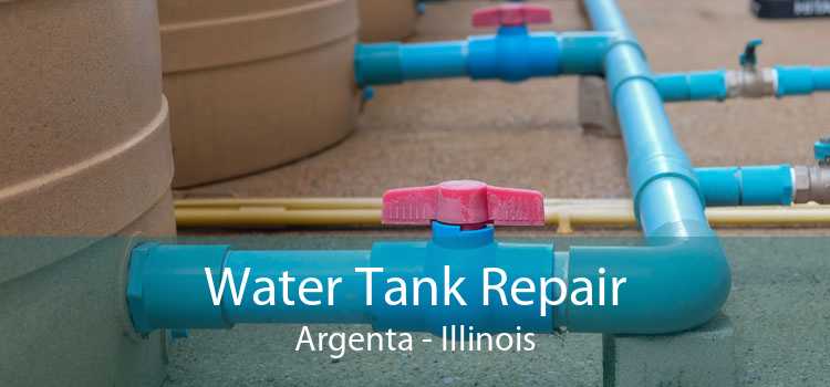 Water Tank Repair Argenta - Illinois