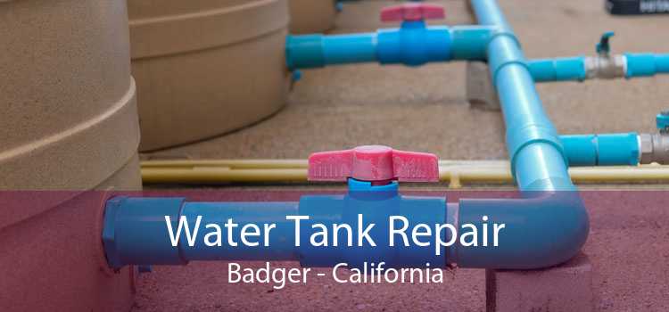 Water Tank Repair Badger - California